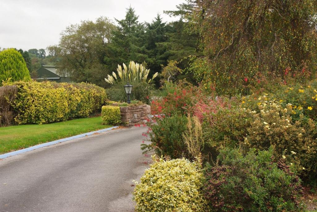 Gormans Country Home Killarney Exterior photo